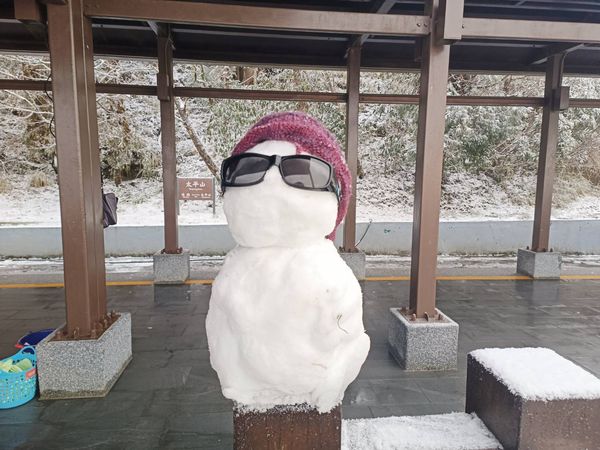 ▲▼太平山4日凌晨最低溫-1度下冰霰，雪白美景遊客驚喜。（圖／太平山莊提供，下同）