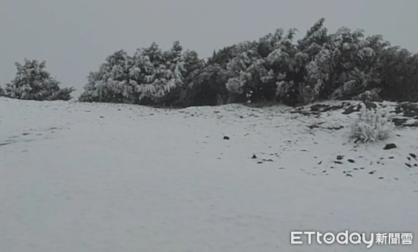 ▲▼玉山下雪了，積雪達1公分。（圖／氣象署提供）