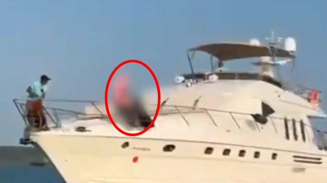 ▲▼遊艇活春宮！男女交纏甲板上「激情船震」　觀光客觀戰更嗨了。（圖／翻攝X）