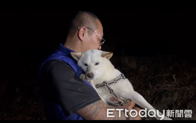 搶救狗狗大行動!柴犬踩空墜深谷36小時 攀樹專家驚險救援