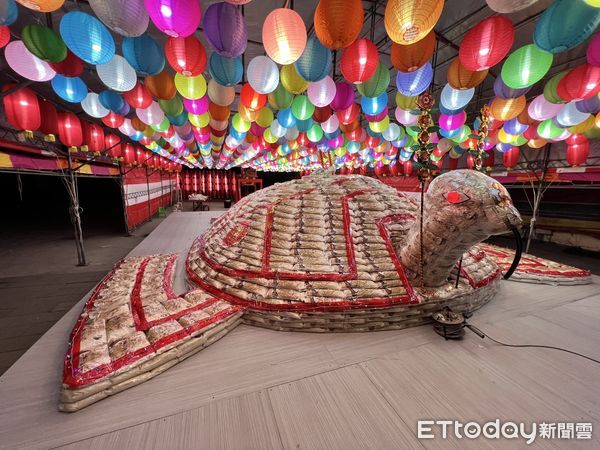 ▲▼澎湖最大米包龜4萬7千斤 等待有緣人。（圖／記者陳韋男攝）