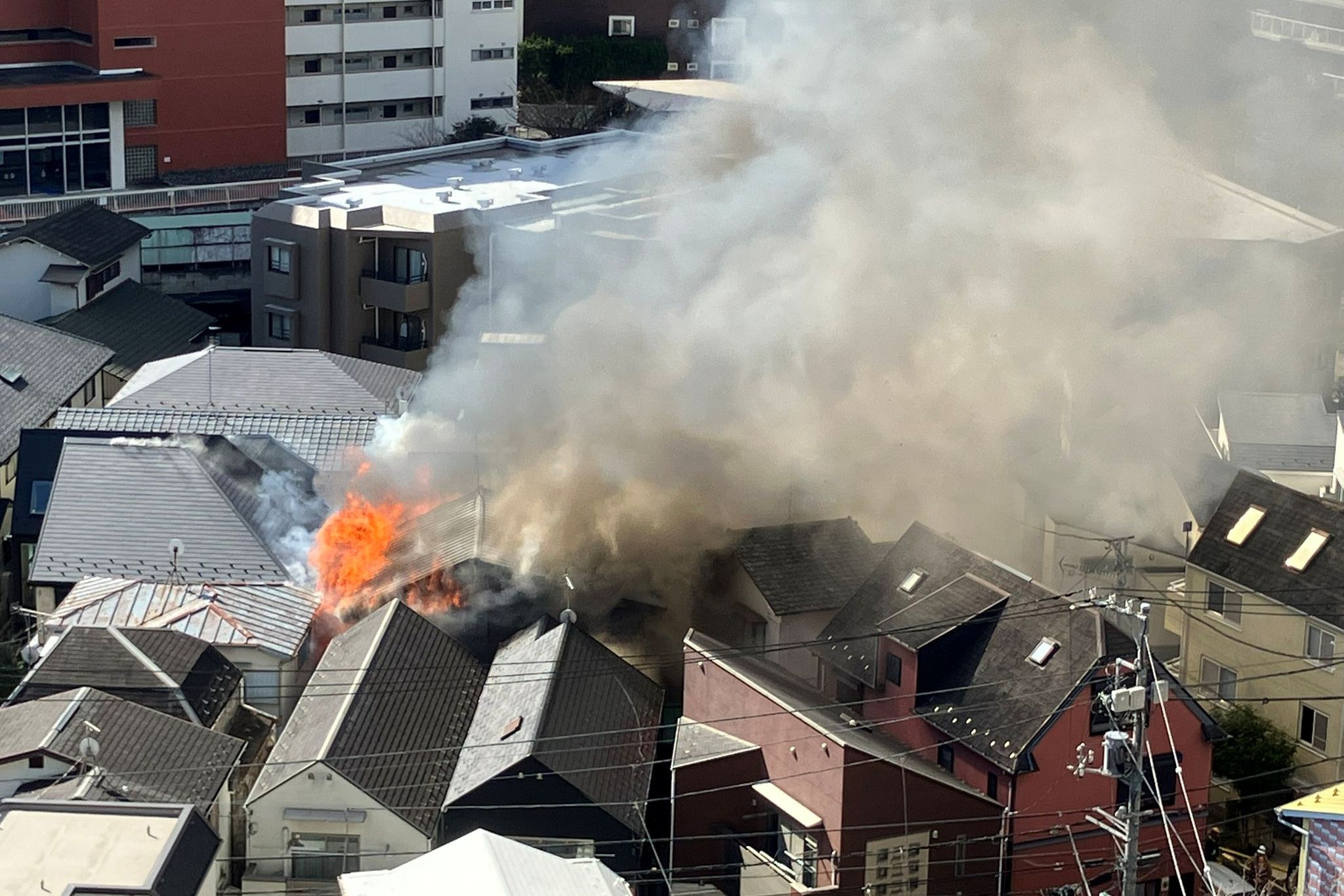 ▲▼             。（圖／翻攝自X）