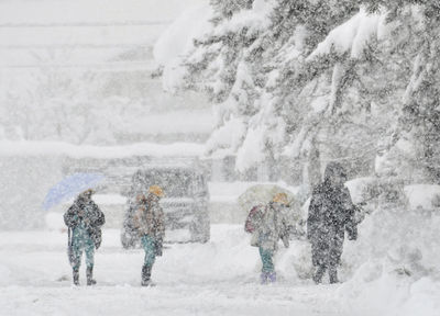 日本北陸降「災害級大雪」！86航班取消　超市現食品搶購潮