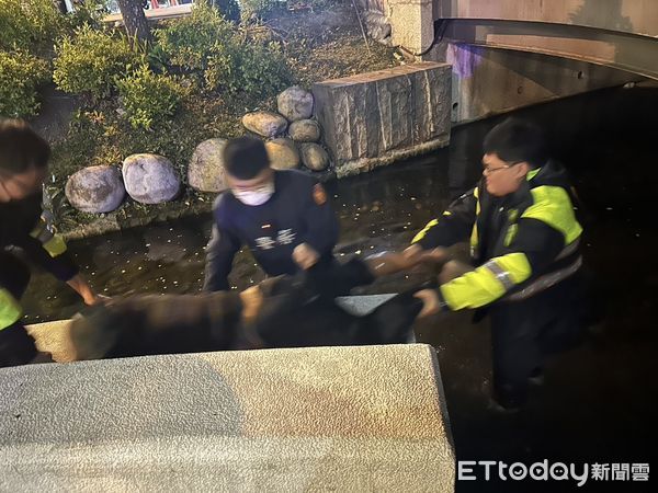 ▲台中男跳進綠川洗澡凍僵走不了　員警脫鞋捲褲管跳河救人。（圖／記者許權毅翻攝）