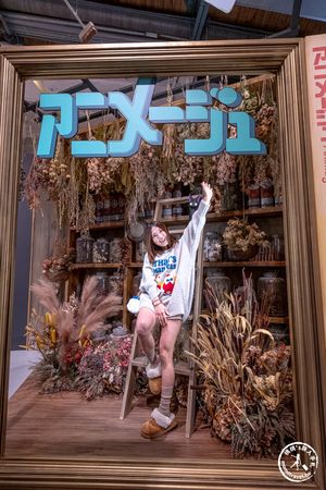 ▲▼Animage雜誌和吉卜力展。（圖／部落客桃桃授權提供）