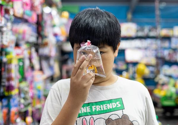 ▲▼台灣新生代攝影師黃迦入選第7屆「DIOR新秀攝影獎」，作品《Silence Is Speaking》結合紀實攝影和素人繪畫，將與其他12名入圍者於法國亞爾國際攝影節期間，在盧瑪亞爾當代藝術中心展出。（圖／文化部提供）