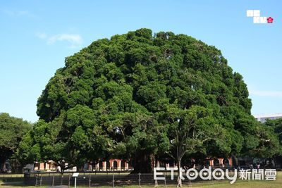 成大蟬聯「企業最愛大學生」冠軍　淡江龐大校友力受金融界歡迎