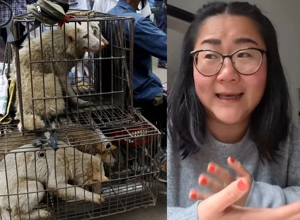 ▲亞裔美食部落客遭歧視。（合成圖／路透、Sissi Chen IG）