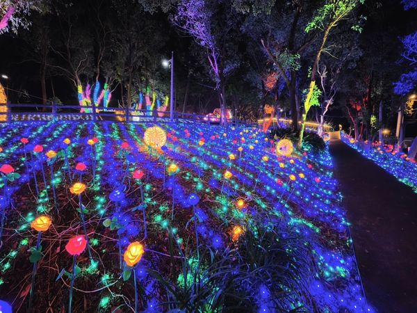 ▲2025台灣燈會在桃園暨蘆竹炫YA農遊季2/7開展。（圖／蘆竹區公所提供）