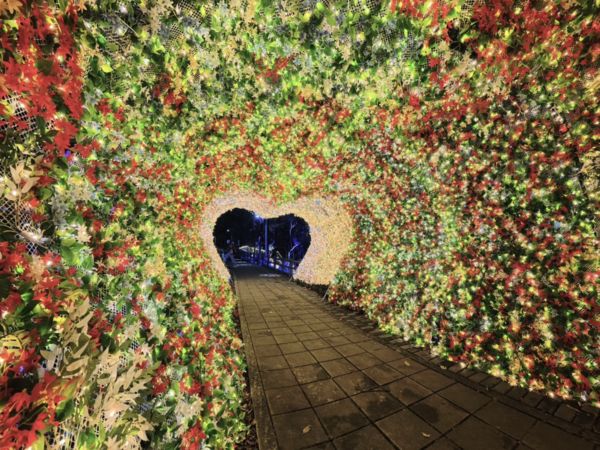 ▲2025台灣燈會在桃園暨蘆竹炫YA農遊季2/7開展。（圖／蘆竹區公所提供）