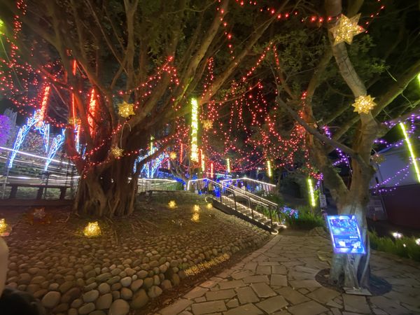 ▲2025台灣燈會在桃園暨蘆竹炫YA農遊季2/7開展。（圖／蘆竹區公所提供）