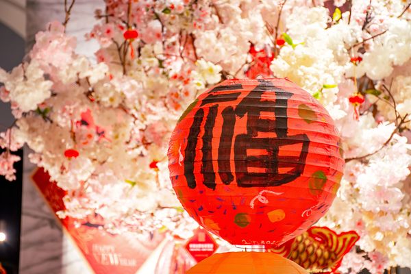 ▲新北市淡水滬尾藝文休閒園區將於2月8日舉辦「滬街樂元宵」活動，可現場DIY「創意彩繪燈籠」。（圖／滬尾藝文休閒園區提供）
