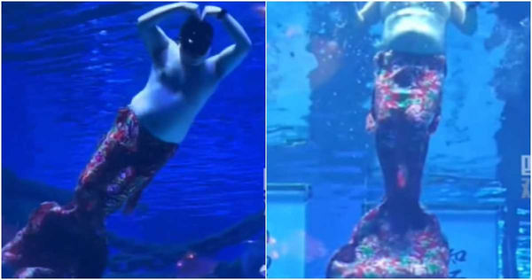 另類真人秀！陸水族館驚見「胖大叔人魚」震撼畫面曝　網笑爆：怎麼跟小孩解釋
