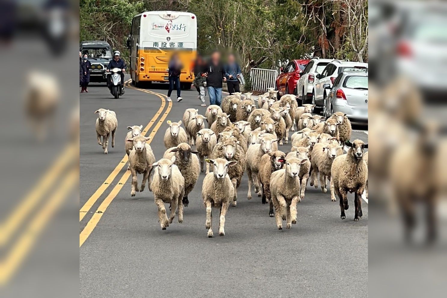 ▲▼             。（圖／翻攝自Facebook／中橫路況交通資訊站）