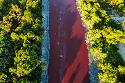 阿根廷河流變「血紅色」　驚悚畫面曝光