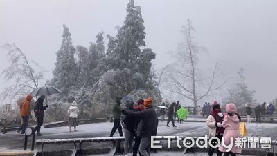 寒流發威！太平山絕美雪景再現　補班日仍湧進2千遊客賞冰霰