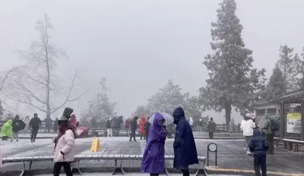 ▲▼宜蘭太平山下冰霰。（圖／翻攝自太平山國家森林遊樂區臉書專頁）