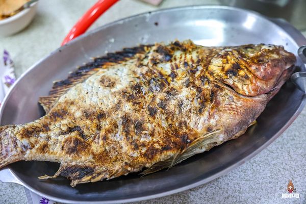 ▲▼鶯歌大盆薑母鴨鹽烤魚。（圖／部落客陳小可提供）