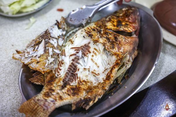 ▲▼鶯歌大盆薑母鴨鹽烤魚。（圖／部落客陳小可提供）