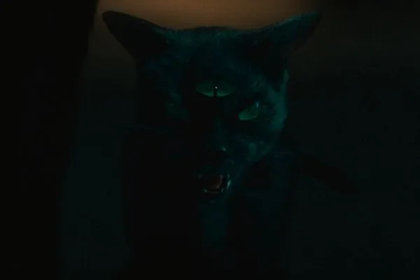 ▲《鬼貓》劇照。（圖／車庫娛樂提供）