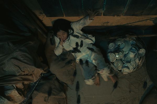 ▲《鬼貓》劇照。（圖／車庫娛樂提供）