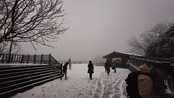 ▲▼遊客在太平山遊樂區，體驗冰雪世界。（圖／太平山莊提供，下同）