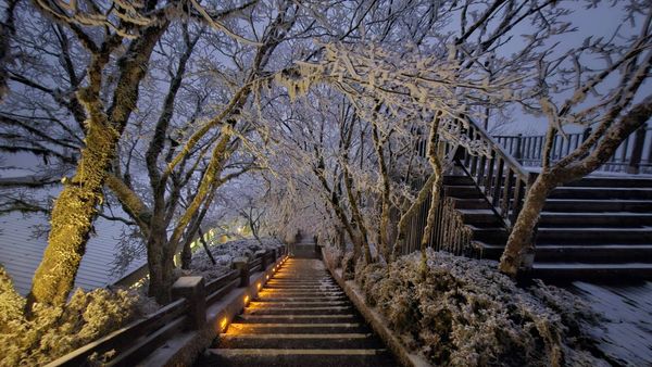 ▲▼遊客在太平山遊樂區，體驗冰雪世界。（圖／太平山莊提供，下同）