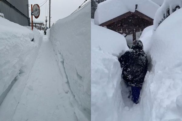 ▲▼日本罕見-39度霸王寒流！積雪破300cm　神社巫女「徒手挖雪牆」。（圖／翻攝自Ｘ）