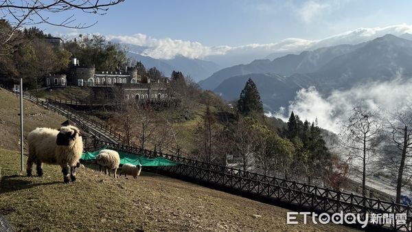▲清境農場今出現雲海大景。（圖／清境農場提供，下同）