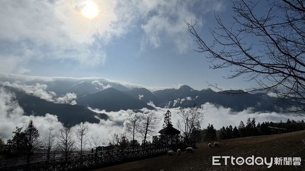 ▲清境農場出現雲海大景。（圖／清境農場提供）