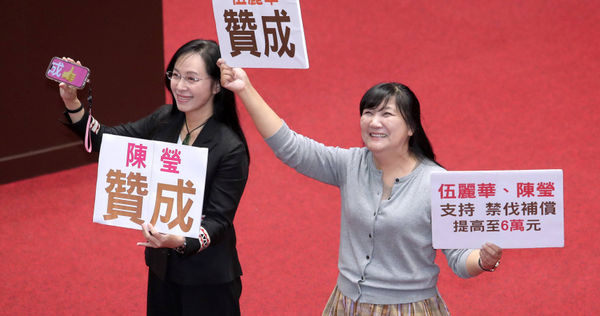 政壇傳出國民黨鎖定發動罷免民進黨原住民立委陳瑩（左）、伍麗華（右）。立法院院會審議《禁伐補償條例》修正草案時，陳、伍兩人與民進黨團意見不同，贊成調漲補償金。（圖／報系資料照）