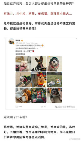 ▲▼陳喬恩護狗遭質疑虛偽。（圖／翻攝自微博）