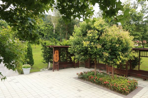 ▲▼台北市殯葬處環保葬區，目前共有富德公墓詠愛園、落羽之丘，以及陽明山公墓臻善園，圖為樹葬葬區。（圖／台北市殯葬處提供）