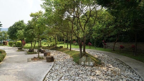 ▲▼台北市殯葬處環保葬區，目前共有富德公墓詠愛園、落羽之丘，以及陽明山公墓臻善園，圖為樹葬葬區。（圖／台北市殯葬處提供）