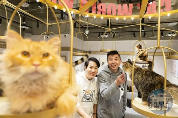 來到劉爾金（左）貓咖啡廳「Cat Café MOCHA」，「我通常都是去狗Café的。」熊爸（右）說。