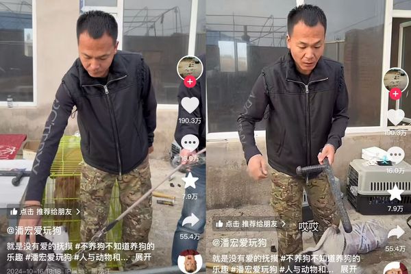 ▲▼ 要求飼主簽署天價合約            。（圖／翻攝 封面新聞、抖音）