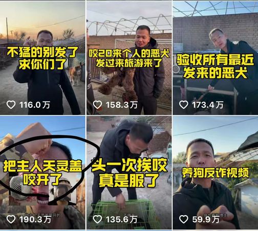 ▲▼  陸網紅潘紅虐死狗後繼續上傳誇張影片           。（圖／翻攝 抖音潘紅愛玩狗）