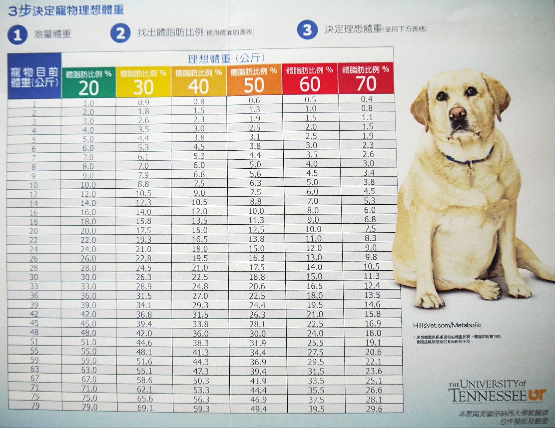 你狗狗過重了嗎 3步驟教你看出愛犬是否該減肥 Ettoday寵物雲 Ettoday新聞雲