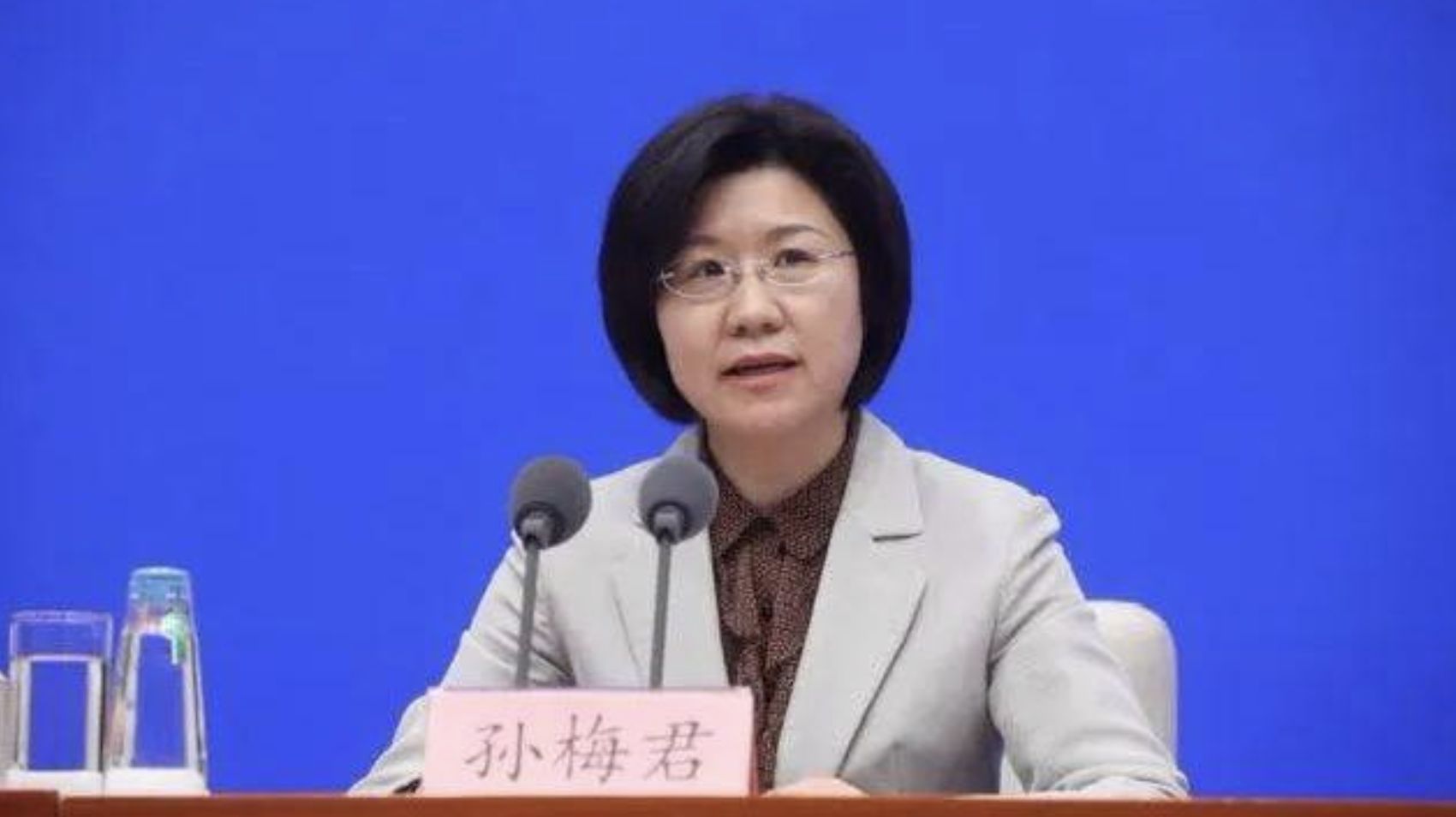 ▲大陸新任海關總署署長孫梅君。（圖／翻攝微博）