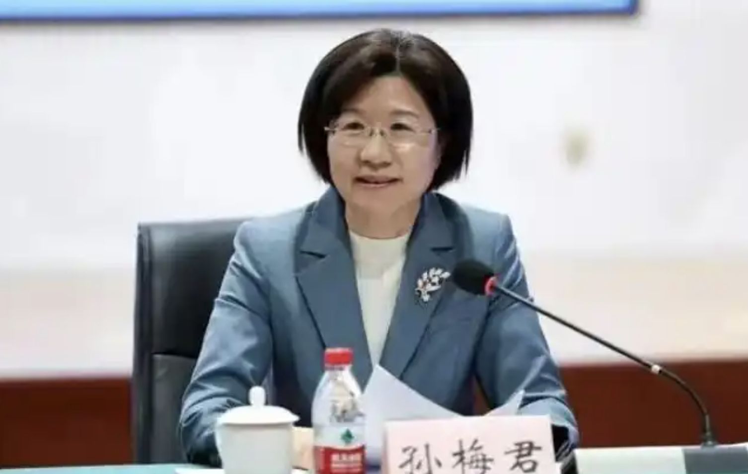 ▲大陸新任海關總署署長孫梅君。（圖／翻攝微博）