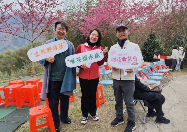 ▲國際扶輪3502地區推動拉拉山新春櫻花茶會