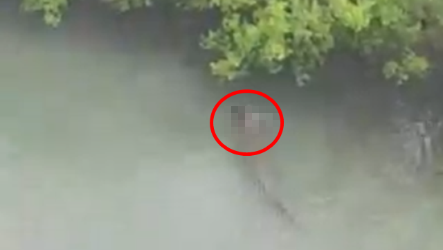 ▲▼1歲嬰遭鱷魚叼走「活活咬死」　父親釣魚一半驚恐目睹。（圖／翻攝臉書）