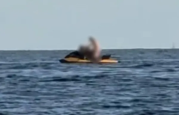 ▲▼一對男女竟在水上摩托車上「大演活春宮」。（圖／翻攝自TikTok）