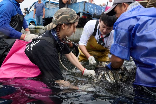▲許富凱慘被魚逼瘋。（圖／三立提供）
