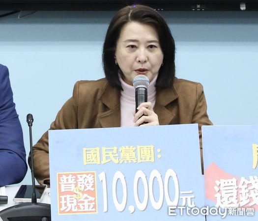 ▲▼國民黨團召開 稅收超徵創新高 還錢於民發現金 記者會 王鴻薇 羅智強 張智倫 出席。（圖／記者屠惠剛攝）