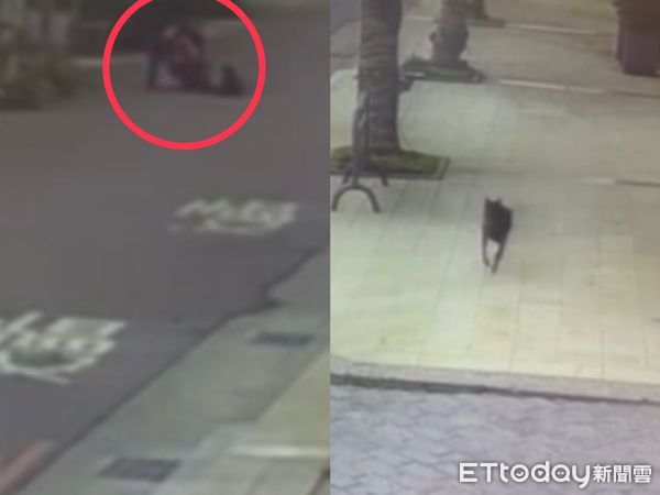 ▲黑狗放養出事！騎士遭側面猛撞「手斷了」　警要追飼主是誰。（圖／記者許權毅翻攝）