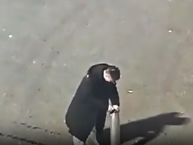 ▲▼醉男誤點禮花彈 當場被炸死。（圖／翻攝自微博）