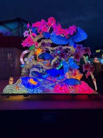 ▲2025台灣燈會矯正署花燈參賽成果斐然　