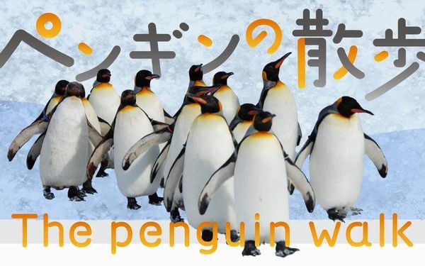 ▲▼解鎖北海道私藏景點。（圖／ReadyGo提供）