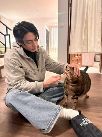 宋柏緯幫HERO成功瘦身3公斤，平時也會準備營養品給毛孩，十分疼愛貓咪。（圖／自由試娛樂提供）